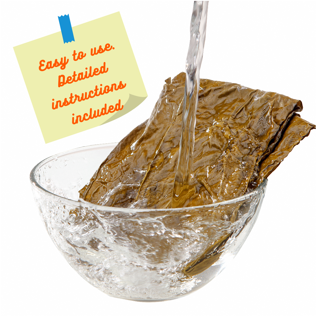 Seaweed Kelp Dried Whole Leaves For Body Wraps. Cellulite Treatment and Rejuvenation.  2 lb Pack For Spa And Home Use