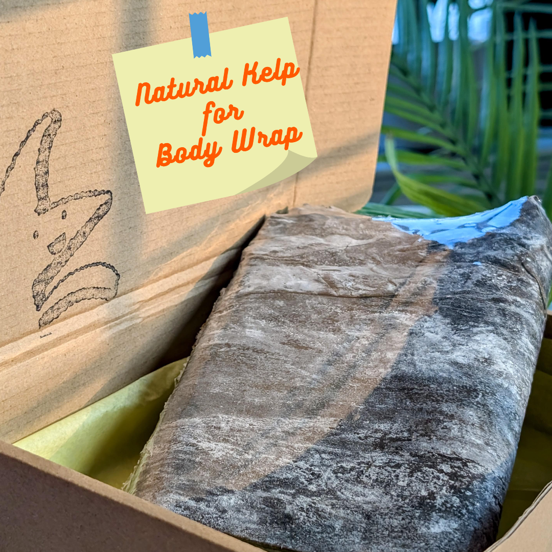 Seaweed Kelp Dried Whole Leaves For Body Wraps. Cellulite Treatment and Rejuvenation.  2 lb Pack For Spa And Home Use