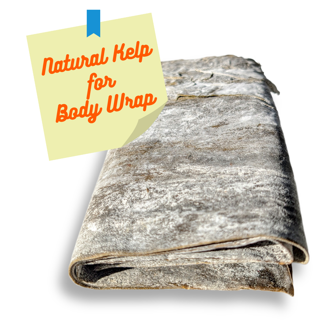 Seaweed Kelp Dried Whole Leaves For Body Wraps. Cellulite Treatment and Rejuvenation.  2 lb Pack For Spa And Home Use
