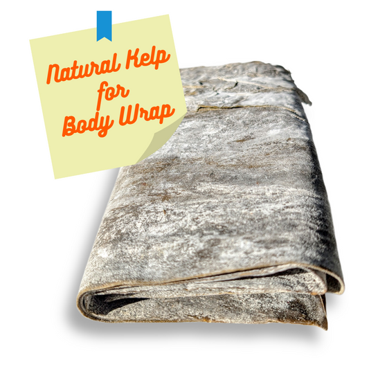 Seaweed Kelp Dried Whole Leaves For Body Wraps. Cellulite Treatment and Rejuvenation.  2 lb Pack For Spa And Home Use
