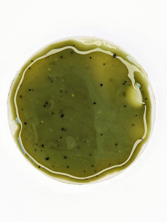 Cellulite Reduction Seaweed Body Mask