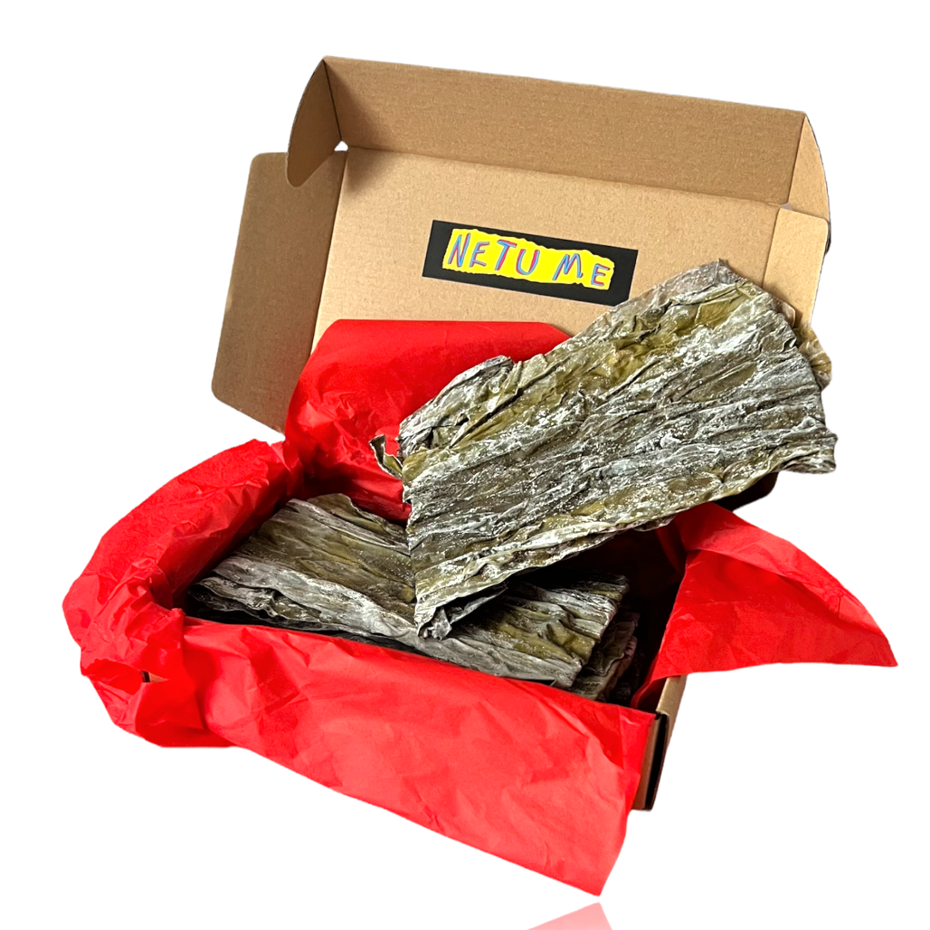 Kelp Laminaria for SPA body wrapping
