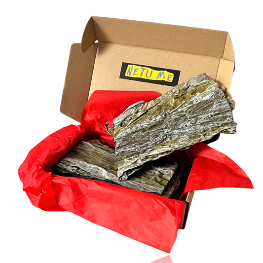 Kelp Laminaria for SPA body wrapping